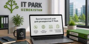 Accounting for IT Park Residents